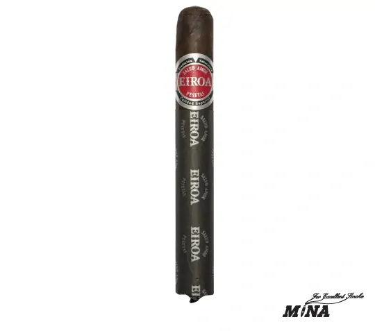 Eiroa CBT Toro Gordo
