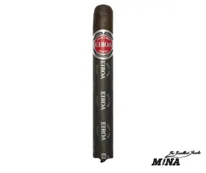 Eiroa CBT Toro Gordo
