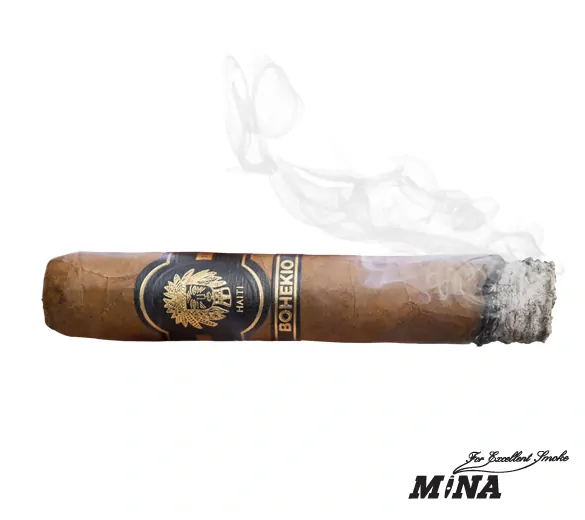 Bohekio Robusto Sungrown Haiti