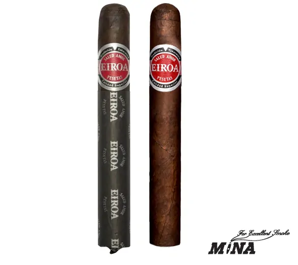 Eiroa CBT Toro Gordo