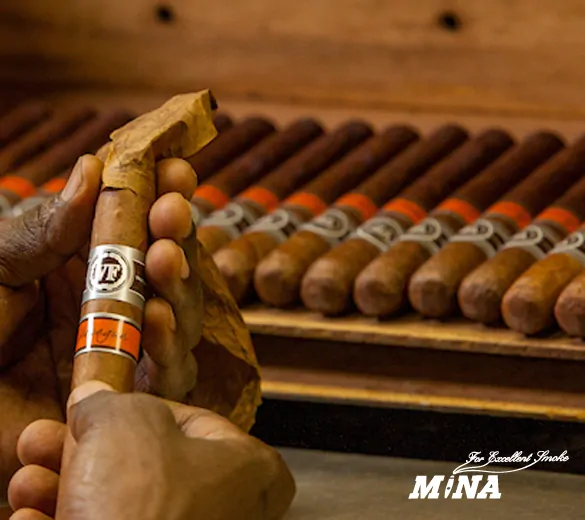 Vegafina reserva Nicaragua