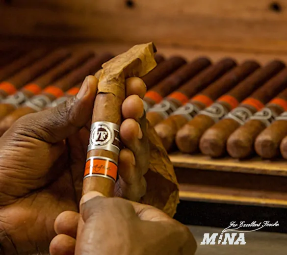 Vegafina Nicaragua Robusto Tubos